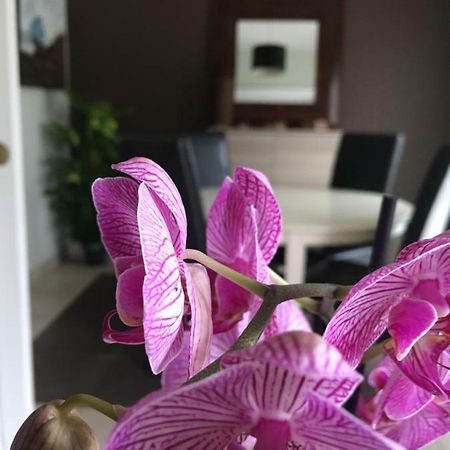 شقة Nano House بوجْلِ المظهر الخارجي الصورة