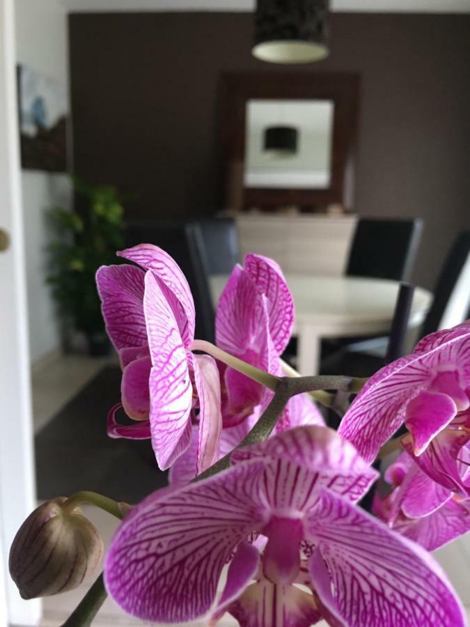 شقة Nano House بوجْلِ المظهر الخارجي الصورة